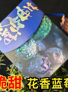 花香蓝莓云南鲜果小懒杯L25脆纯甜新鲜水果当季孕妇礼盒杯桶装