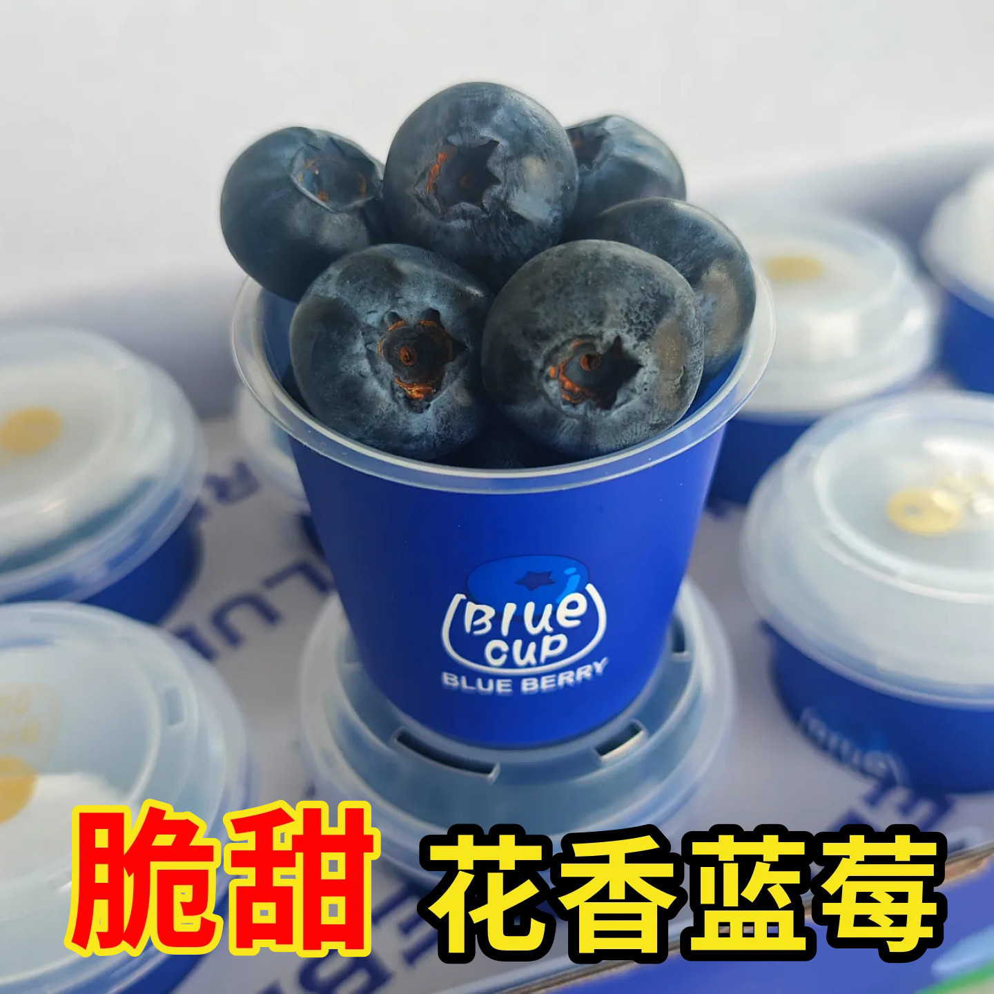 当季云南花香蓝莓鲜果脆甜杯装小蓝杯礼盒装顺丰包邮蓝梅宝宝辅食