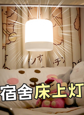 大学生宿舍床上用床帘内小夜灯充电小台灯寝室床头学习悬挂式挂灯