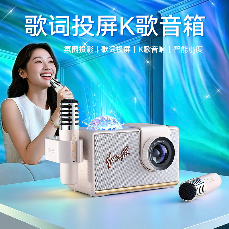 无线话筒音响一体机麦克风家庭ktv家用k歌户外唱歌蓝牙小音箱歌词