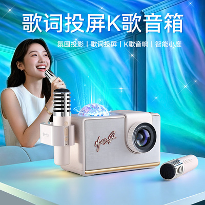 无线话筒音响一体机麦克风家庭ktv家用k歌户外唱歌蓝牙小音箱歌词