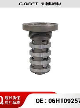 适用于 奥迪 中置阀 机油控制阀 凸轮轴电磁阀 VVT阀 06H109257C