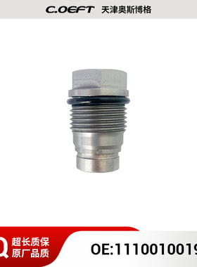 适用于雷诺共轨限压阀泄压阀1110010019