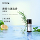「u先」Dr.Wong薄荷与迷迭香头皮护理按摩油控油保湿