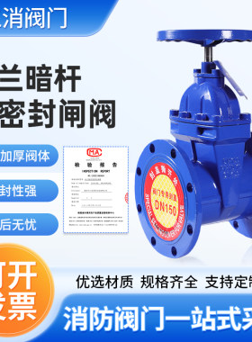法兰暗杆软密封闸阀规格齐全