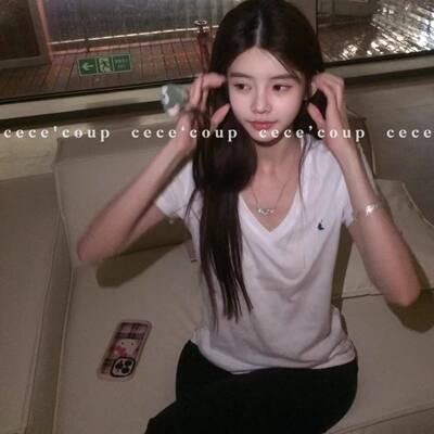 刺绣V领宽松T恤短袖女士