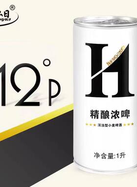 弘日啤酒精酿浑浊小麦礼盒装