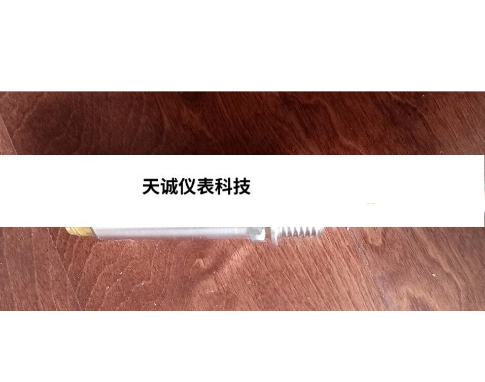 endress hauser 流量开关dtt31-a1c111aa2cab恩德斯豪斯e h直销