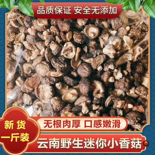 云南小香菇云南野生迷你500g