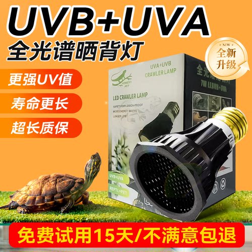 爬虫乌龟uvb晒背补钙二合一