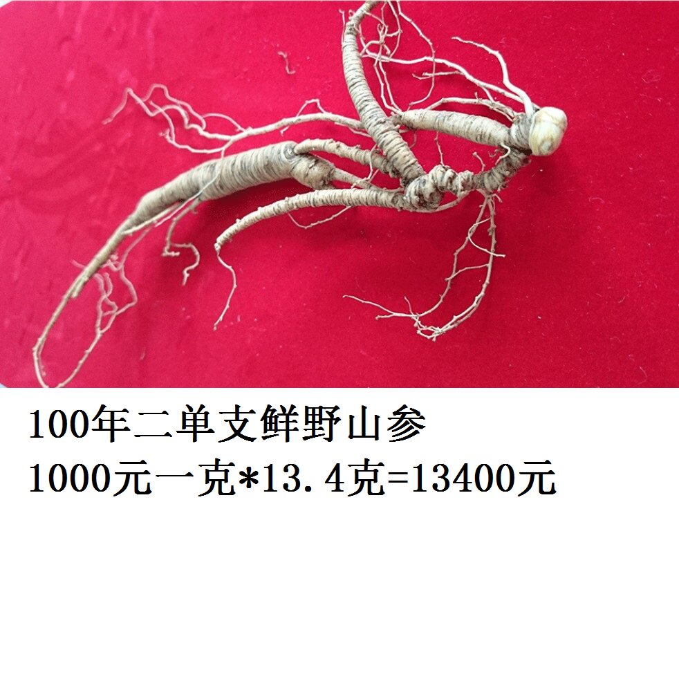 东北长白山野生人参山参人参片人参须红参
