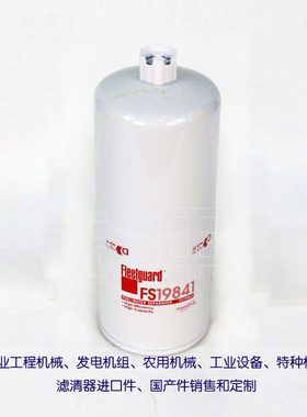 柴油滤芯FS19841 适用康明斯发动机弗列加柴油格FS19841