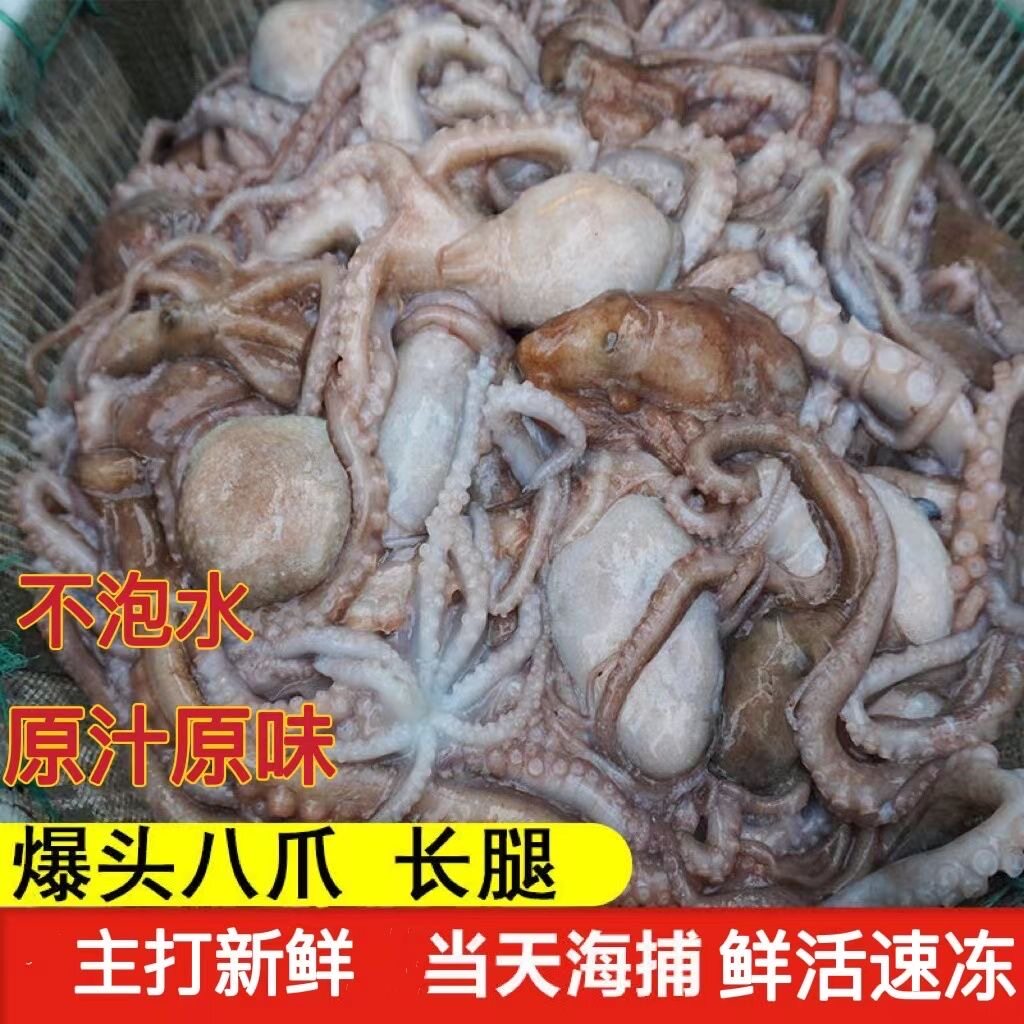 长腿大章鱼新鲜冷冻海鲜