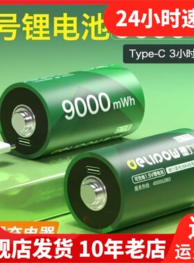 Delipow德力普锂电池手电筒强光容量进口充电器电池XBZ20210622