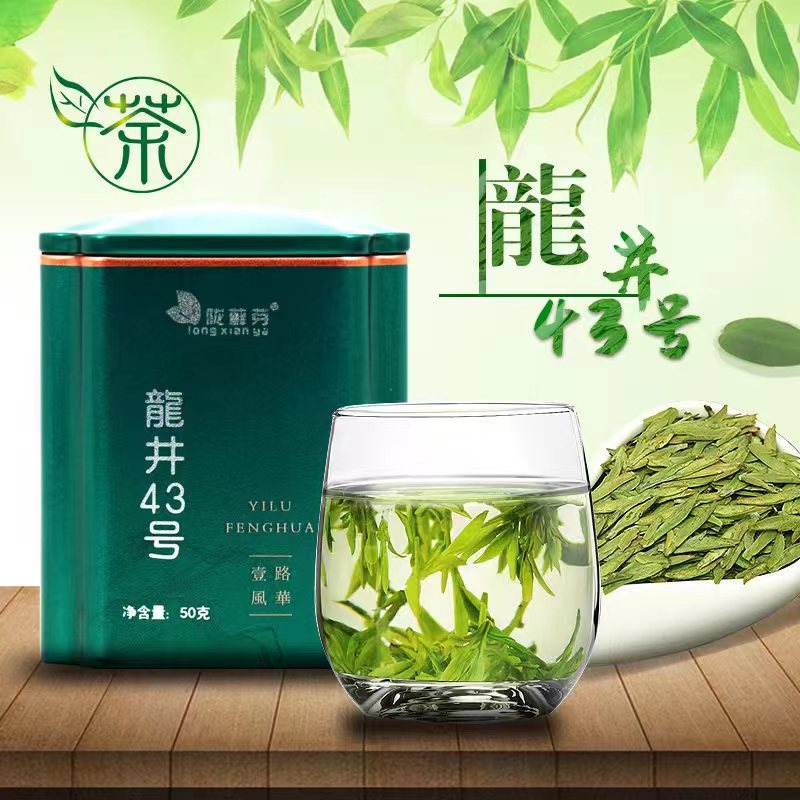 甘肃陇南茶叶大叶龙井43号文县茶叶绿茶50g/罐陇乡源茶叶