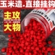 野钓玉米软颗粒鱼饵直接挂钩腥香饵料钓鲫鱼鲤鱼草鱼通杀鱼食饵料