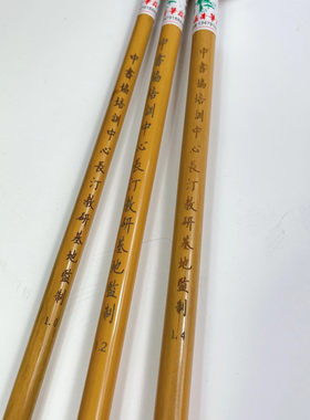 长青笔庄雷武辉书协监制小行草