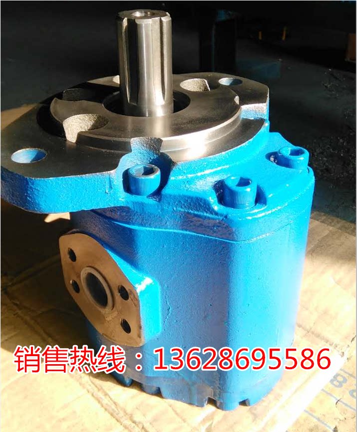Sichuan Yangtze Gear Pump CBY3050-2FR CBY3050-2FL Direct Sales CBY3050-1FR