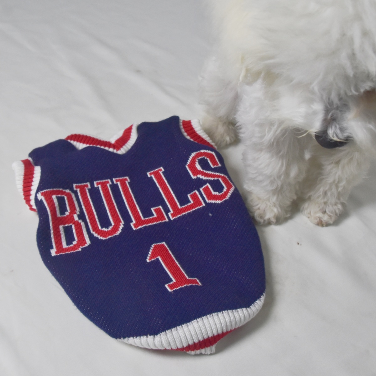 猫咪狗狗衣服春秋冬款毛衣马甲网红背心柴犬比熊英短冬季小型毛衣