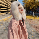 退货率低！现货168款P205控价288，女装棉衣/棉服，浙宝273