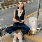 主推春夏装水洗牛仔大口袋设计连体裤2732306P115控168，女装牛仔裤，浙宝273