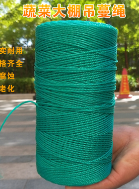 农用防老化吊蔓绳吊秧绳大棚用塑料绳子黄瓜西红柿绑蔓蔬菜吊绳