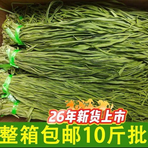 商用特级贡菜带箱10斤苔干新货农家土特产脱水蔬菜火锅食材土特产