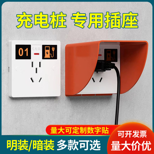 国际电工10A雅白86型电动车充电