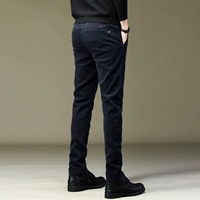 9038 Blue Convention