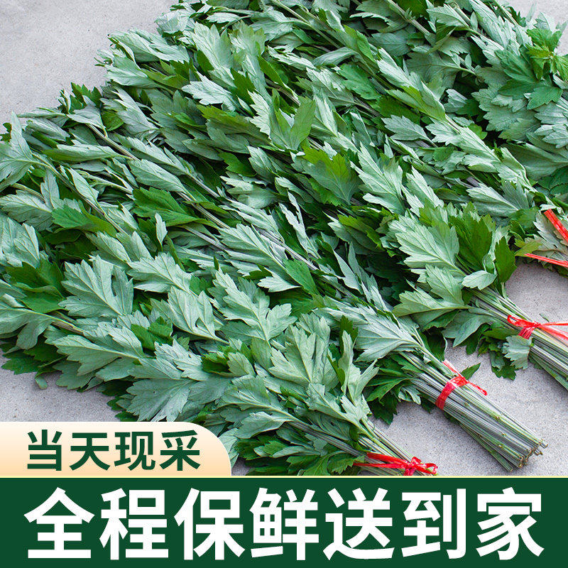 新鲜艾草整棵带杆挂门上家用干艾蒿鲜艾端午节艾叶花束门挂