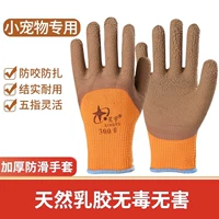 [Анти -битный оранжевый утолщен] 2 пары средней цены (2 двойной бесплатной доставки)