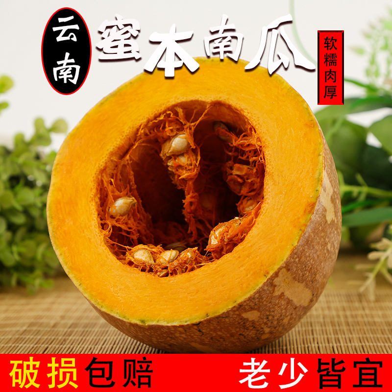 云南老南瓜高原蜜本瓜长南瓜清甜农家现摘原产地直供非贝贝小南瓜