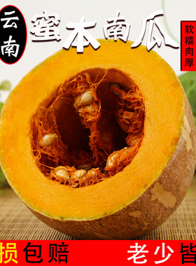 云南老南瓜高原蜜本瓜长南瓜清甜农家现摘原产地直供非贝贝小南瓜