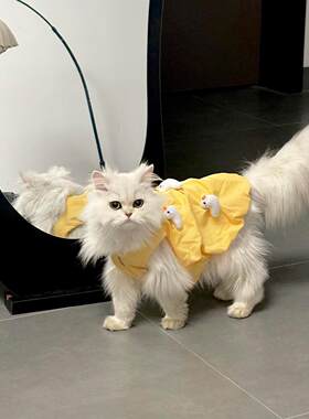 √小鸭子猫咪衣服四季通