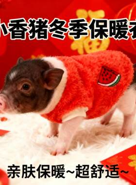 √小香猪新年衣服保暖秋