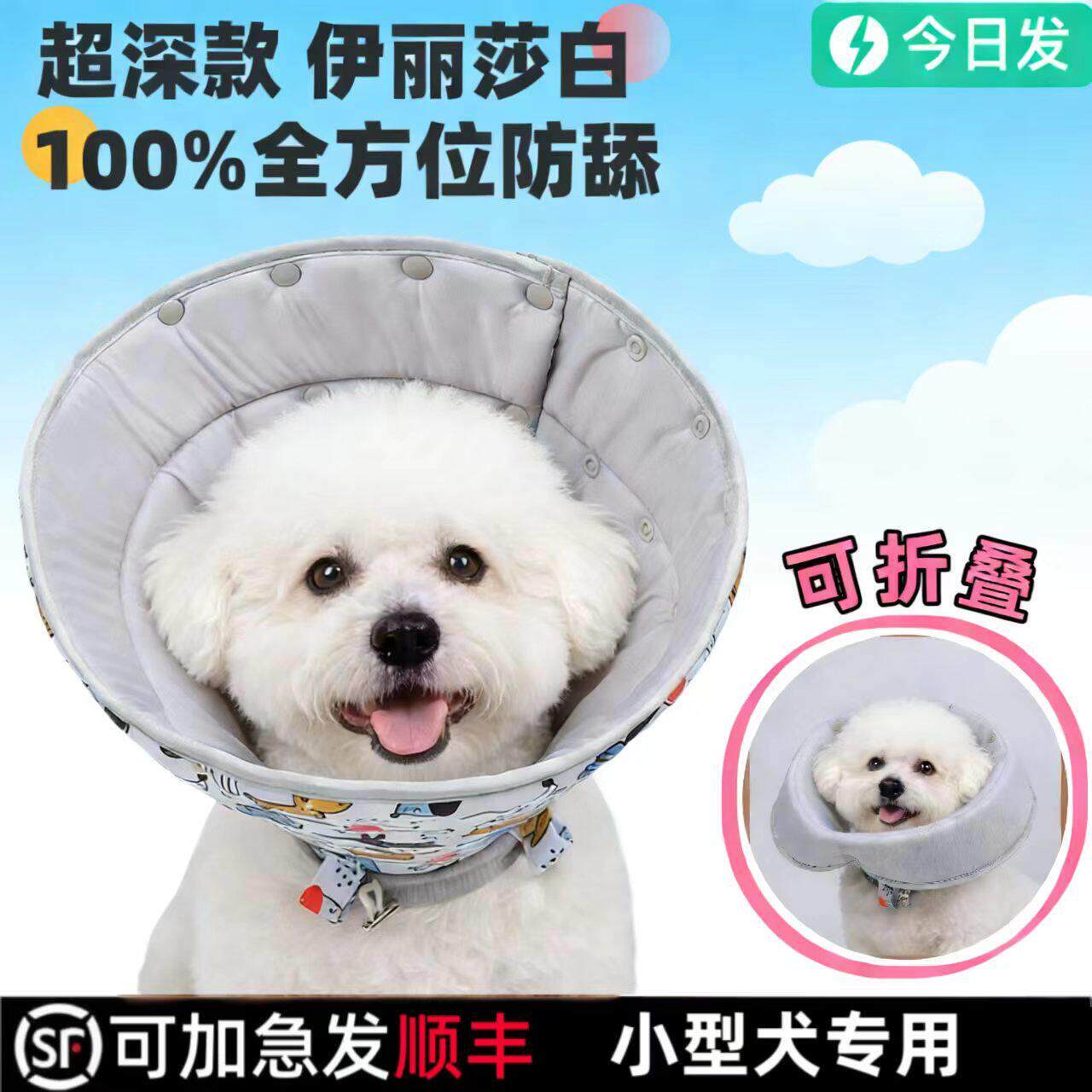 比熊专用宠物狗狗伊丽莎