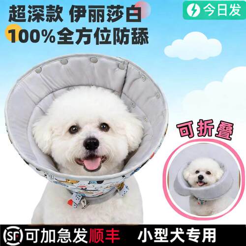 比熊专用宠物狗狗伊丽莎
