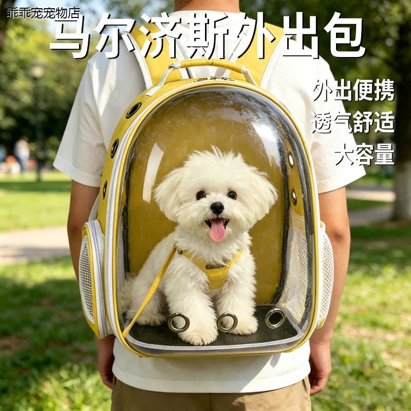 √马尔济斯外出包迷你狗