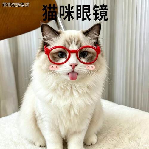 √猫咪眼镜专用拍照配饰