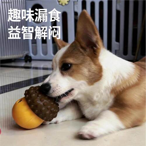 √狗狗解闷漏食球柯基柴