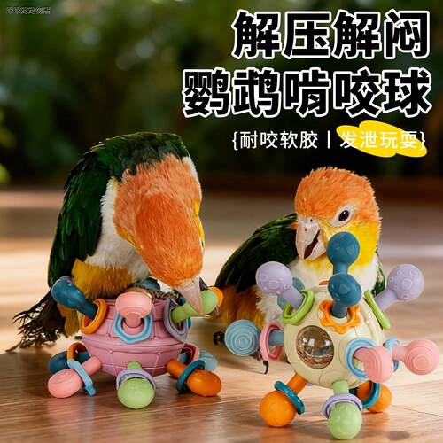 √鹦鹉啃咬玩具球解闷自