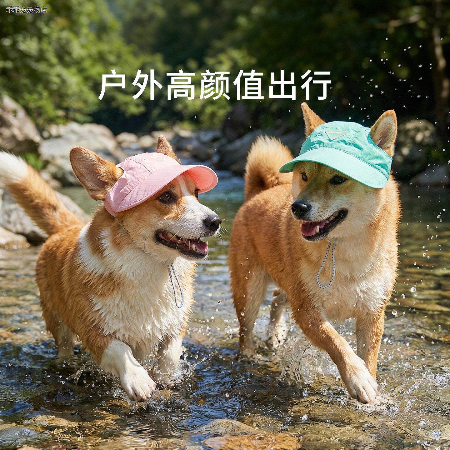 √狗狗夏天防晒遮阳太阳