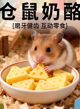 √金丝熊仓鼠奶酪粮食物