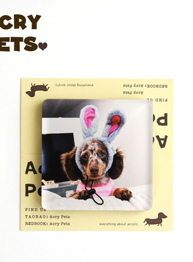 AcryPets宠物定制周边宠物亚克力冰箱贴定制照片Fridgemagnet礼物