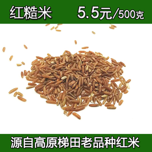 红米 云南高原梯田红糙米农家新米 红粳米红粗粮米胚芽糙米500克