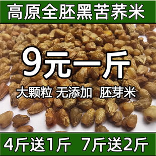 包邮 全胚芽苦荞籽食用农家生苦荞仁新货杂粮500g 云南黑苦荞米散装