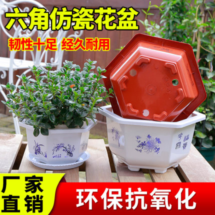 六角花盆塑料花盆加厚红白特大号盆景盆栽花卉种花种菜托盘包邮