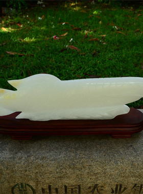 金龙鱼招财开业礼品家居装饰招财