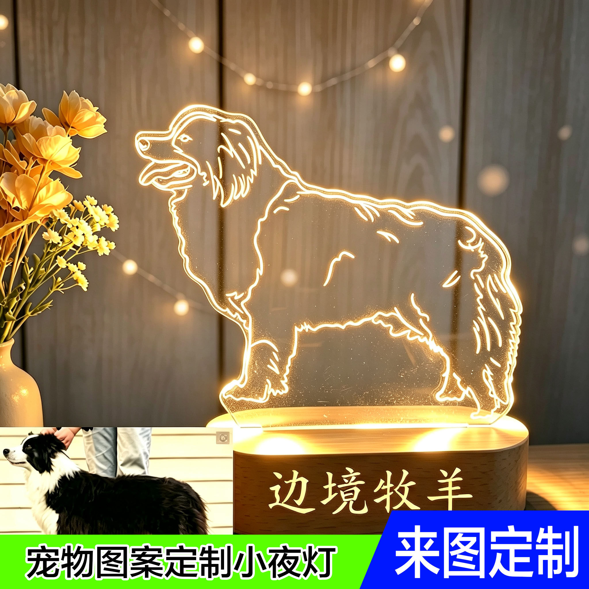 定制小夜灯宠物照片狗狗猫咪机车汽车节日礼品LED灯发光台灯