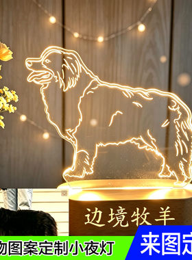 定制小夜灯宠物照片狗狗猫咪机车汽车节日礼品LED灯发光台灯